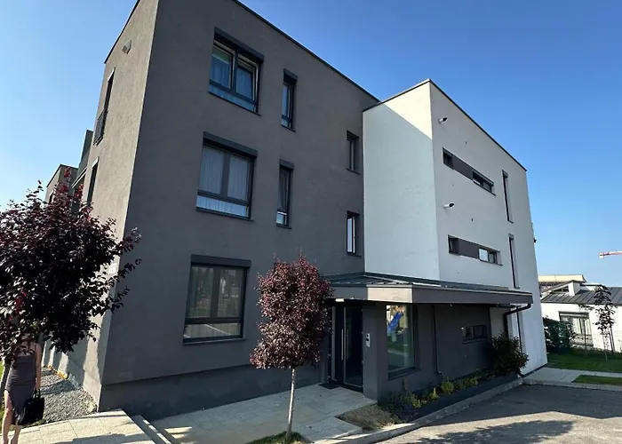 Arigato * Cluj-Napoca